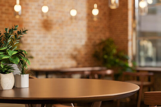 Potted plants on round wooden table across on bricks wall and hanging lamp in the cafe or restaurant