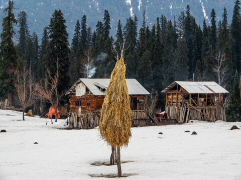 View of rustic wooden cabins nestled amidst snow-covered fields, framed by towering pine trees against a backdrop of distant, snow-capped mountains, Arang Kel, Pakistan.