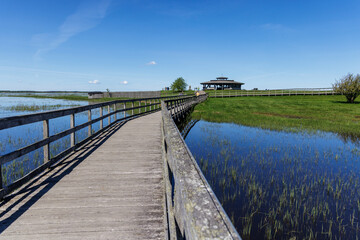 Fototapeta premium Naturum am Hornborgasee, Schweden