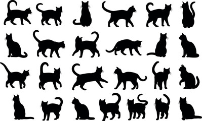Fototapeta premium Cat silhouette icons vector illustration with black design, feline posture symbol artwork, sitting and walking motion concept element