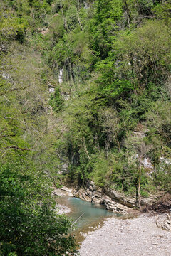 The view from above of the Khosta River canyon in Yew-Boxwood Grove.