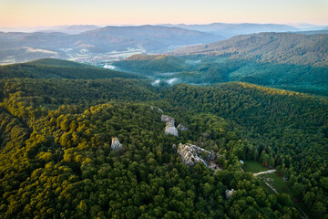 Fototapeta premium Beautiful panorama of alpine forest with green foliage, rocks and mountain slopes. Dovbush Rocks, Carpathian mountains, Ukraine.