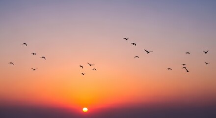 Obraz premium Birds Flying Silhouette against Vibrant Sunset Sky Horizon