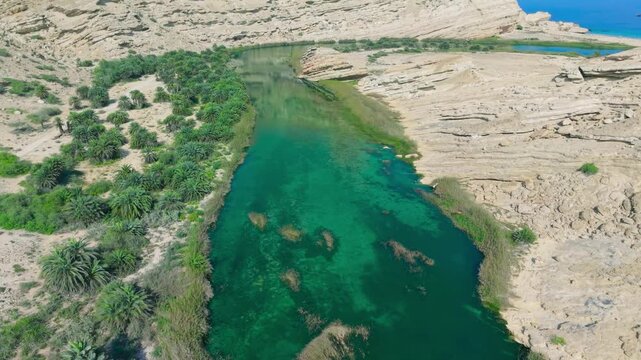 Aerial view of a turquoise river winding between palm trees and desert rock formations at Wadi Shuwaymiyah, Oman.