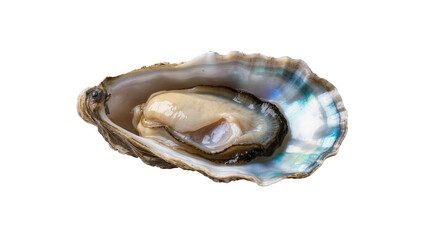 Iridescent open oyster shell with pearlescent interior displaying a delicate fleshy body, isolated on transparent background for seafood menus © Friedrich