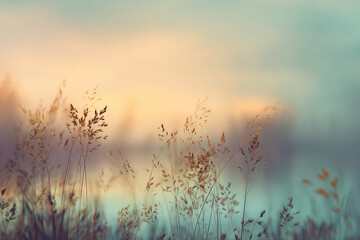 Obraz premium Sunset over tall grass with soft pastel colors