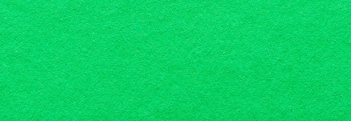 Fototapeta premium Green paper background or backdrop with fine details and smooth texture with copy space for text design element