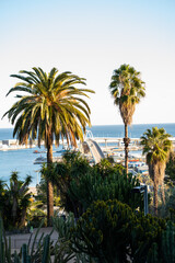 Fototapeta premium Barcelona tropical scene with vibrant cactus garden and palm trees framing the Port of Barcelona, modern pedestrian bridge, ships and the tranquil Mediterranean horizon