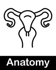 Obraz premium Female Reproductive System Anatomy Line Icon Uterus Ovaries and Fallopian Tubes Medical Vector Illustration