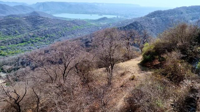 A bright daytime  showing a narrow dirt trail on the Aravalli hillside near Jaigarh Fort, with dry trees and shrubs in the foreground and a distant lake and city view visible in the valley below.