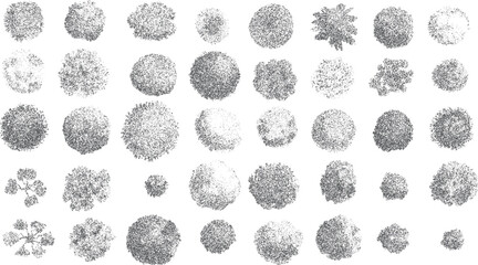 Obraz premium Collection of diverse grey textured circular shapes and organic forms created with stippling technique on white background
