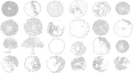 Collection of black and white line of various trees viewed from above and side profiles plant plants © Pixel Park