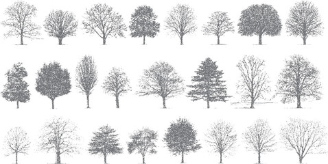 Collection of twenty one diverse grey deciduous and coniferous trees rendered in a stippled artistic style on a white background © Pixel Park