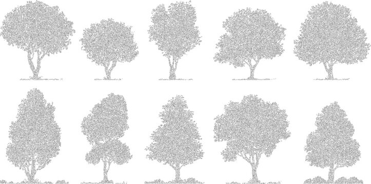 Ten black and white line of diverse trees with detailed foliage and trunks