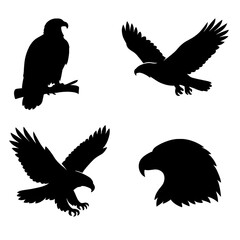 Fototapeta premium Majestic Eagle and Hawk Black Silhouettes Isolated on White Background
