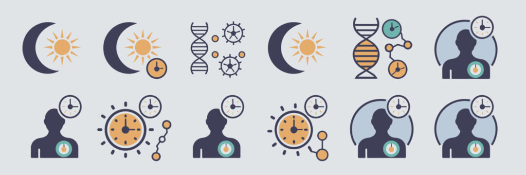 Circadian rhythm and body clock icons &ndash; Perfect for sleep science.