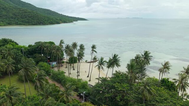 Aerial view of Bobby Beach with palm trees along the coast and a small distant island under a cloudy sky, Karimunjawa, Central Java, Indonesia.