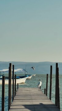 A peaceful scene of a wooden pier extending into calm water with a white heron standing at the edge. ideal for travel, nature, and relaxation concepts.