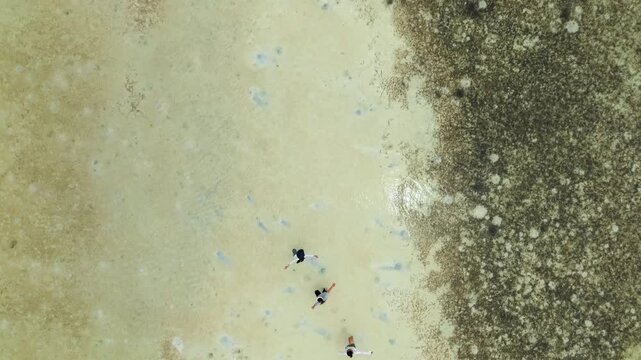 An aerial view of Bobby Beach featuring contrasting light and dark colors, creating a stunning view of natural beauty and people running around, Karimunjawa, Central Java, Indonesia.