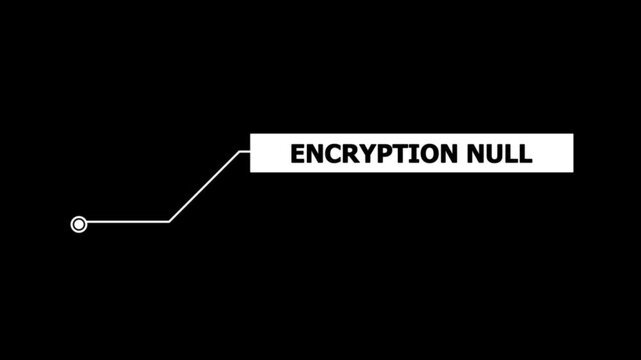 Animation of HUD elements with text Encryption Null. Animate a white callous for text. HUD elements on black background. Futuristic callout titles. Virtual sci fi textbox for HUD.