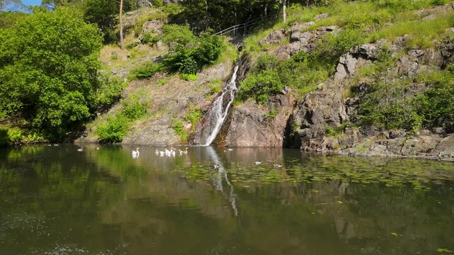 Gliding forward over tranquil pond where white geese and ducks swim as waterfall cascades down granite rocks in Slottsskogen city park Gothenburg