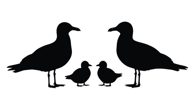 Silhouette of two adult seagulls and two chicks standing closely together