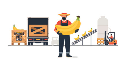 Banana Harvest and Processing: A depiction of a banana farmer proudly holding a bunch of ripe bananas as part of the agricultural process, in a cartoon-like illustration. © mahmuda428