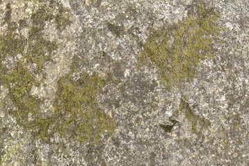 Fototapeta premium Mossy stone texture background, natural rough rock surface with organic pattern