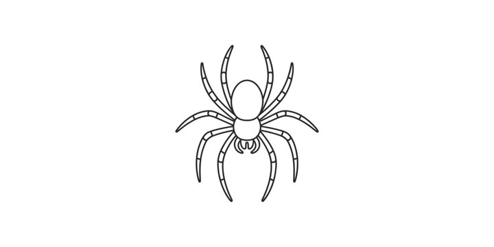 Simple black and white line art illustration of a spider with eight legs and striped patterns