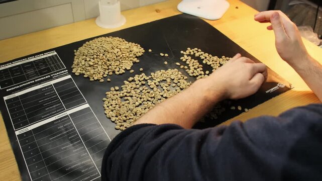 Skillful man uses fingers to go through coffee beans scattered on table. Factory worker attentively inspects raw material for impurities