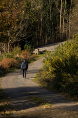 Obraz premium Woman Walking on Road. Mesmerizing Scenic Moment