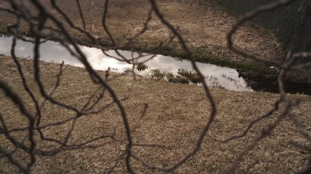 枯れた草原を流れる川を背景に枯れ枝のシルエット
