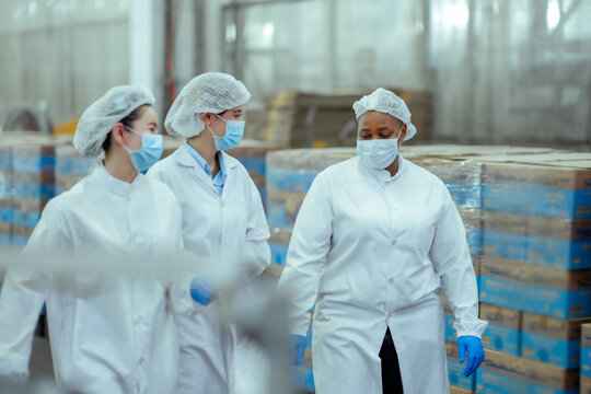 Multinational female workers walk together in canned fish factory discussing workflow and production process. Scene represents teamwork, hygiene standards, and efficient food manufacturing operations.