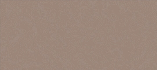 Fototapeta premium Topographic Contour Map Pattern Background Beige Abstract Terrain Lines and Minimal Texture