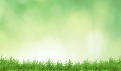 Fototapeta premium Lush spring grass against blurred green background with bokeh lights. Banner design