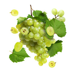 Obraz premium Fresh juicy grapes and green leaves on transparent background