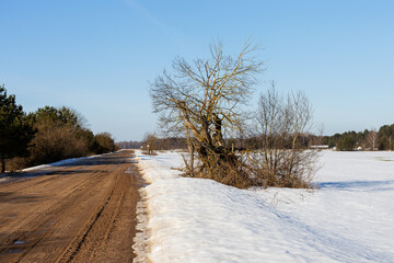 Obraz premium Quiet snowcovered trail beckons explorers. Unpaved winter lane with inviting sunlight ahead