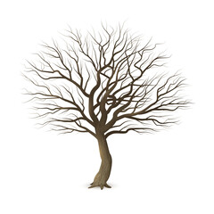 Obraz premium Bare deciduous tree with intricate branches isolated illustration transparent background