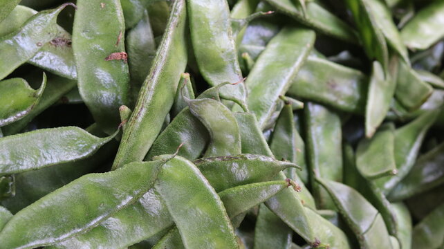 Green Hyacinth Bean Vegetable in Local Market