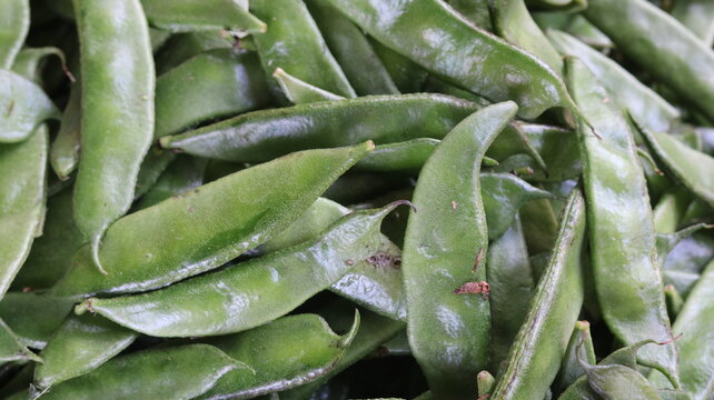 Green Hyacinth Bean Vegetable in Local Market