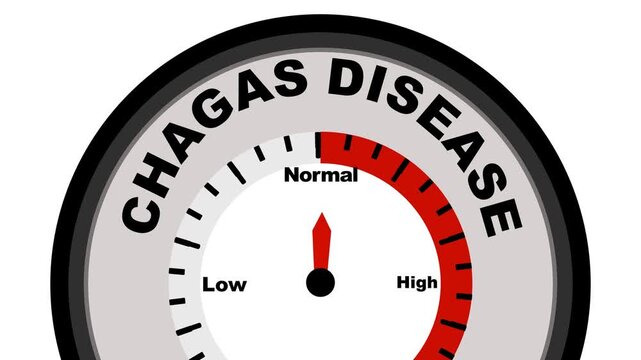 Chagas Disease text or word displayed with a barometer or tachometer-style gauge showing levels from low to normal to high, symbolizing the progression and impact of the disease. animation. 4k video