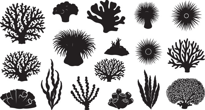 Black Silhouettes of Various Coral Reef Forms and Shapes