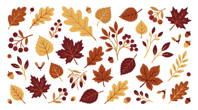 Autumn leaves and berries collection for seasonal design elements and decorations