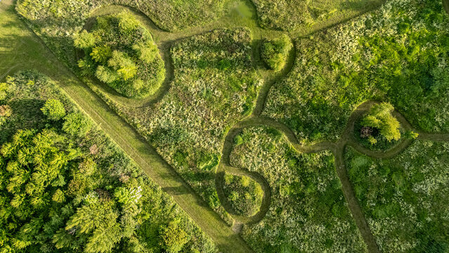 Aerial view of winding paths carved through vibrant green fields and clusters of trees, creating a textured landscape from above, De Kiem, Flevoland, Netherlands.