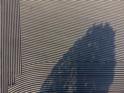 Aerial view of a building's shadow cast across a striped surface, creating a stark contrast between light and dark, Arrien, Overijssel, Netherlands.
