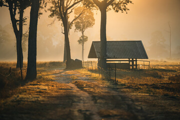Fototapeta premium Rural sunrise landscape wooden shelter dirt road morning fog golden light countryside field tranquil nature scene misty forest edge serene atmosphere peaceful mood