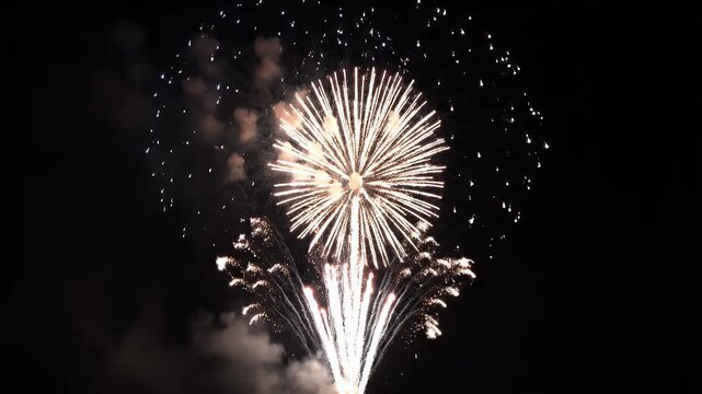 Bright white fireworks explode in a dark night sky during a celebration