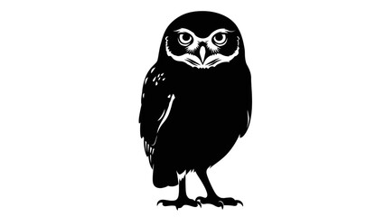 Obraz premium Black Silhouette of a Little Owl Standing on White Background