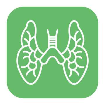 Thymus Icon