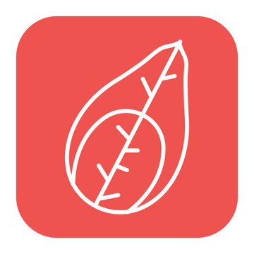 Silk Cocoon Icon